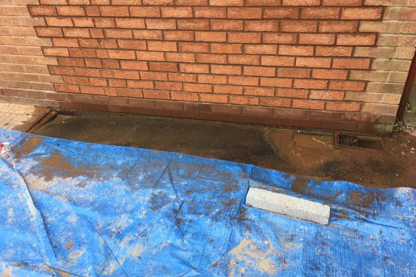 Brick Laying project photo 19